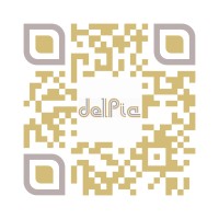 Del Pia S.RL logo - Similar company to Maximeccanica S.R.L.