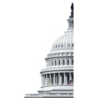 Capitol Inquiry logo - Similar company to Socratic Intelligence, Llc