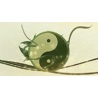 Intentional Acupuncture