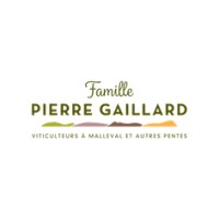 Famille Pierre Gaillard logo - Similar company to Nerd Level Tech
