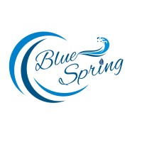 Blue Spring logo - Similar company to Hr Summer School
