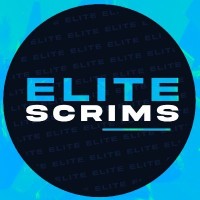 EliteFNM logo - Similar company to Shadowpoint.Gg