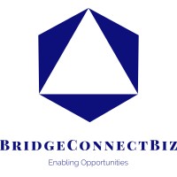 BridgeConnectBiz logo - Similar company to Eis Labs