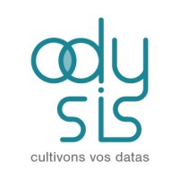 Odysis logo - Similar company to Biprax Consulting