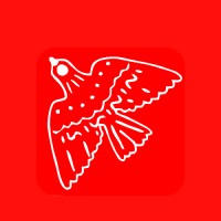 Renovar Energia logo - Similar company to Ec Sustentable