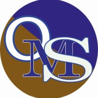 One Micro Solutions Ltd logo - Similar company to Anl Foundation