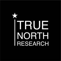 True North Research logo - Similar company to Certus3