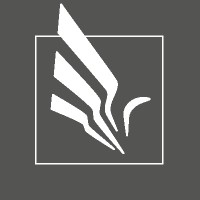 Aise Consulting