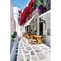 Intelligent Solutions logo - Similar company to Virksomhedsservice - Ringkøbing-Skjern Kommune