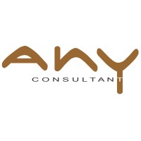 Any Consultant logo - Similar company to Zuid Consultant
