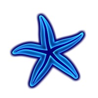 Starfish Social Media, Inc. logo - Similar company to Starfish*Global Llc