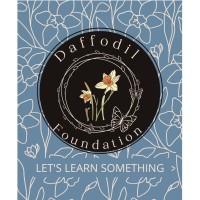 Daffodil Foundations logo - Similar company to Spruce