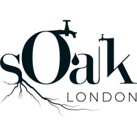sOaklondon logo - Similar company to Lifeforms Design