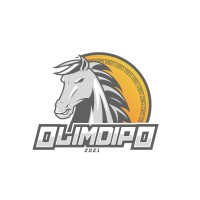 Olimdipo logo - Similar company to Her Sphere