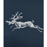 Jackelope Spirits logo - Similar company to The Lane Vineyard