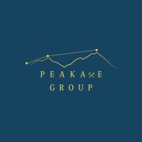 Peakaxe Group logo - Similar company to Vsltec