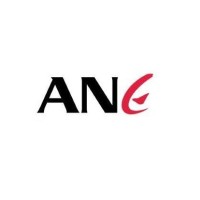 Ane-Associação Nacional Das Empresárias