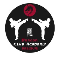 DragonClubAcademy logo - Similar company to Jcfl Gradignan
