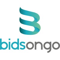 Bidsongo Digital logo - Similar company to Blueshepherd Gmbh, Germany