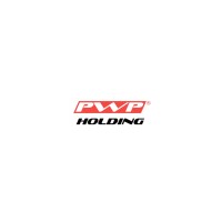 PWP Holding logo - Similar company to Vachi Infotech Inc.