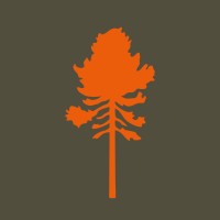 Pinewood logo - Similar company to Deerhunter