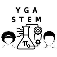 Young Gifted and STEM logo - Similar company to Wand Education
