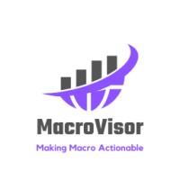 MacroVisor logo - Similar company to Macro Vision Research, LLC