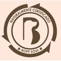 Boppsoul
