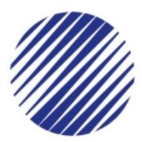 Russell Bedford BSA logo - Similar company to Y Consultant