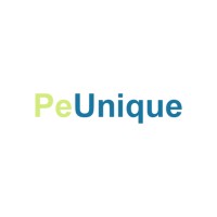 Peunique Payment Solution Pvt Ltd logo - Similar company to Bizzmind Software Pvt Ltd
