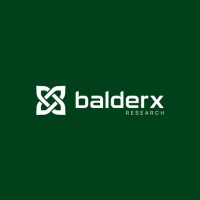 BalderX Research logo - Similar company to Global Minds Work Local