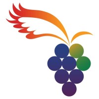 PYDA logo - Similar company to Pebbles Project