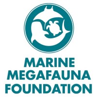 Marine Megafauna Foundation logo - Similar company to Reef Support