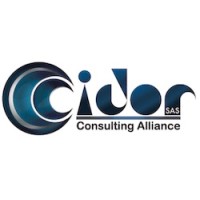 CIDOR CONSULTING ALLIANCE SAS logo - Similar company to Andina Mining