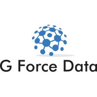 G Force Data logo - Similar company to G Force Solutions
