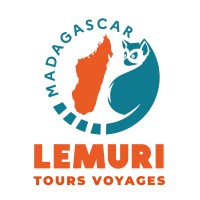 LemuriTours Voyages logo - Similar company to Prime Digital Solution
