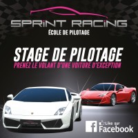 SPRINT RACING - Ecole de Pilotage Auto logo - Similar company to Driving Evolution