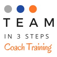 TEAM IN 3 STEPS logo - Similar company to Empatech