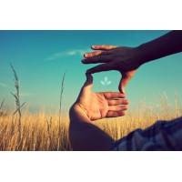 KCPMC LTD logo - Similar company to Jill Foods - Rmt F&B