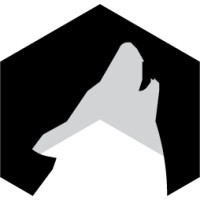 VoxelWolves logo - Similar company to Ondre Studios
