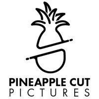 Pineapple Cut Pictures logo - Similar company to Accpac