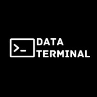 DataTerminal logo - Similar company to Seculine