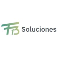 F13 SOLUCIONES logo - Similar company to Estonered