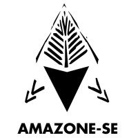 Amazone-se logo - Similar company to Welink