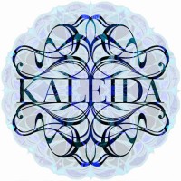 Kaleida Studio logo - Similar company to Mighty Oak