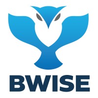 BWISE logo - Similar company to Royal 4 Systems