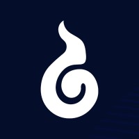 SOULDEM logo - Similar company to Easywisy Solutions