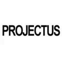 Projectus Consultancy logo - Similar company to Symmetric Technology & Management