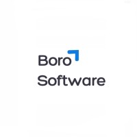Boro Software logo - Similar company to Borosoft