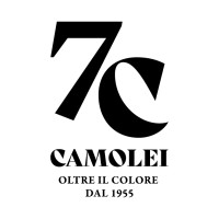 Camolei SRL logo - Similar company to Fg&Co Studio